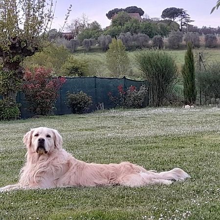 Montepulciano - La Casetta Del Pian Delle Noci Acquaviva  Екстер'єр фото